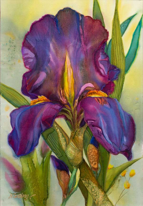 NDC – Elizabeth’s Iris © Nancy Dunlop Cawdrey