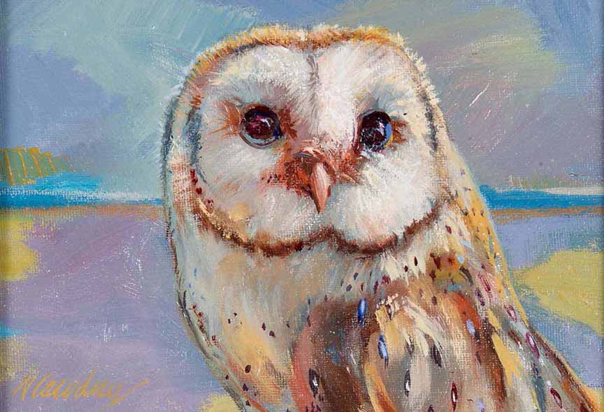 NDC – Hedwig © Nancy Dunlop Cawdrey