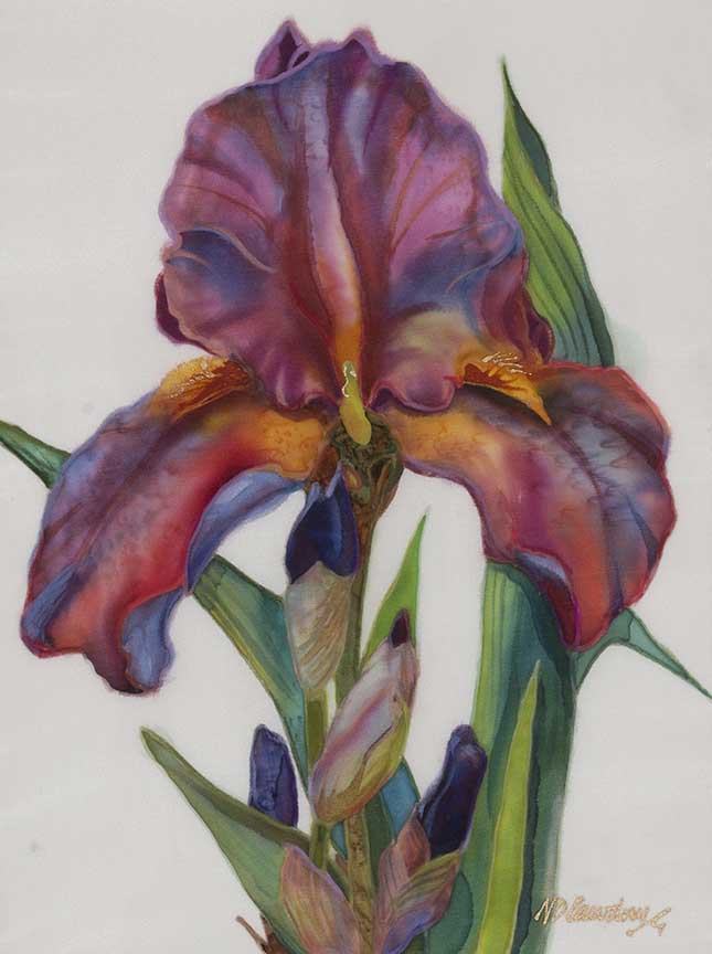 NDC – Jill’s Iris © Nancy Dunlop Cawdrey