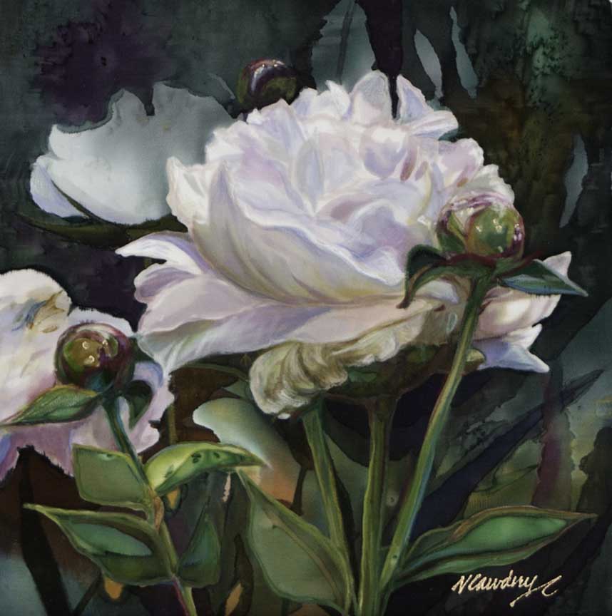 NDC – Peony Class Act © Nancy Dunlop Cawdrey