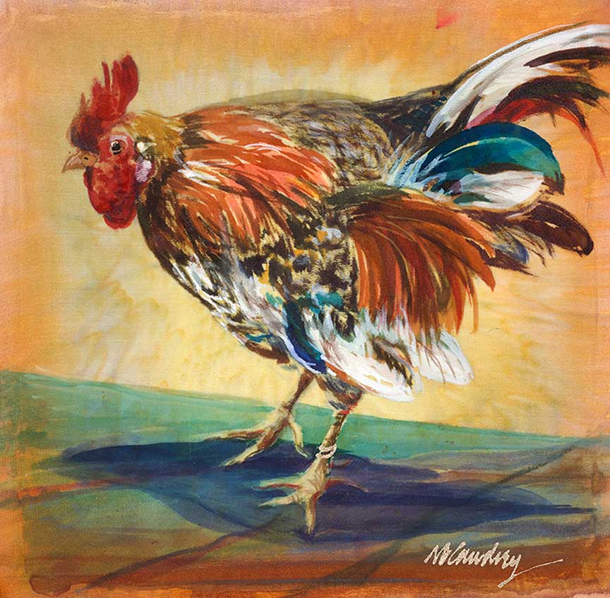 NDC – Randy Rooster © Nancy Dunlop Cawdrey