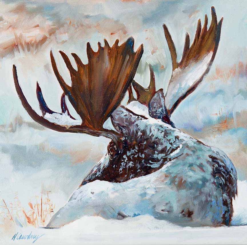 NDC – Snow Blanket © Nancy Dunlop Cawdrey