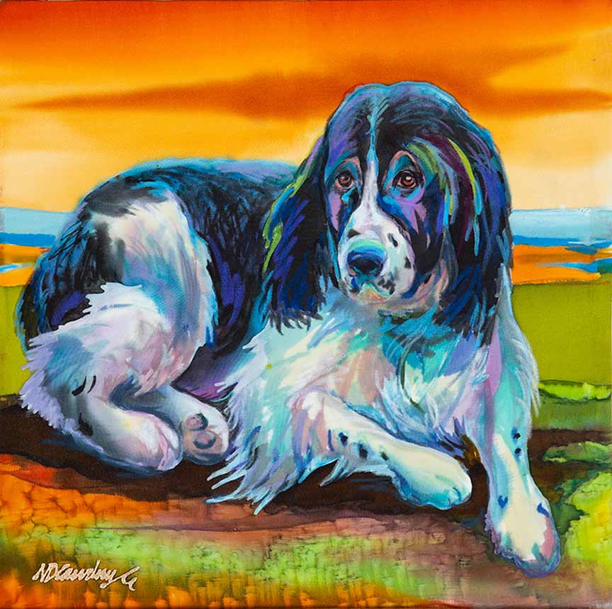 NDC – Sweet Jack © Nancy Dunlop Cawdrey