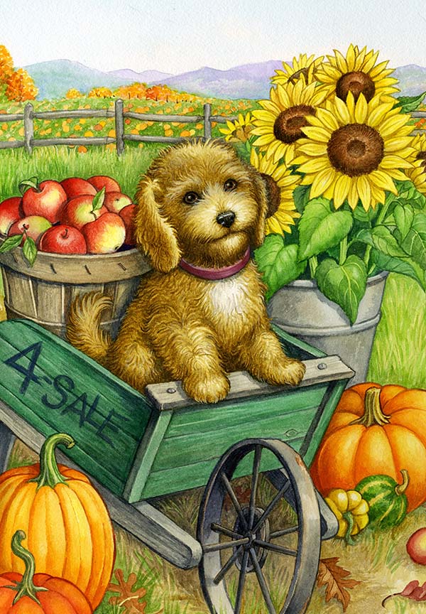 RMB – Fall Cockapoo © Rose Mary Berlin