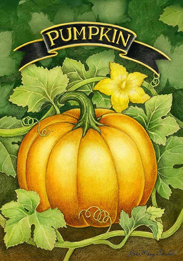 RMB – Garden – Pumpkin © Rose Mary Berlin