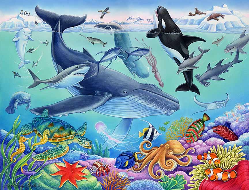 RMB – Wildlife – Under the Sea © Rose Mary Berlin