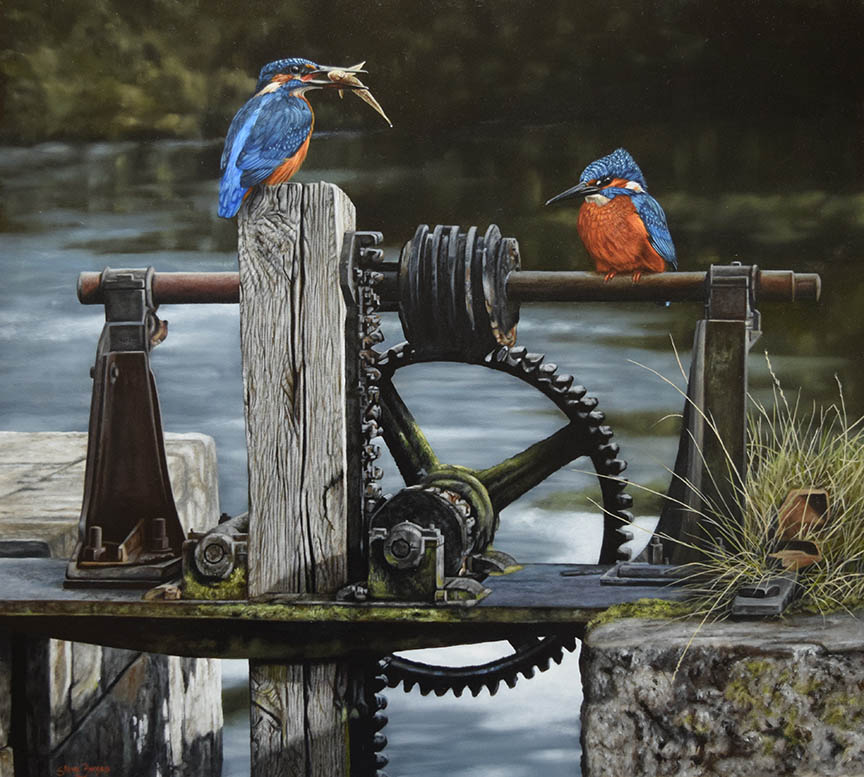 SB – Pair of Kingfishers © Steve Burgess