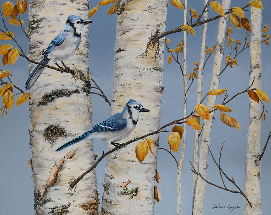 VR – Blue Jay Day © Valerie Rogers