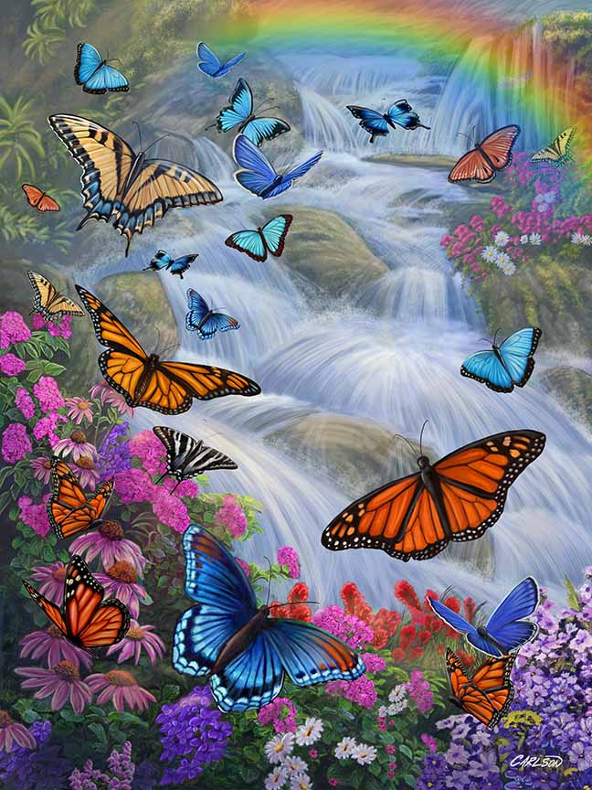 CC – 1P – Butterfly Paradise CC2105 © Cory Carlson