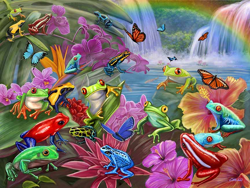 CC – 1P – Frog Paradise CC2201 © Cory Carlson