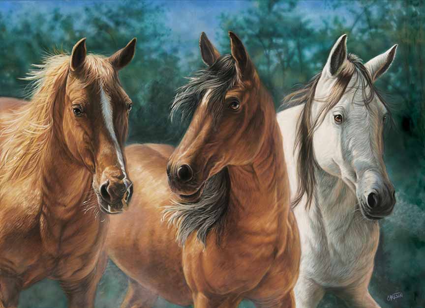 CC – Horses – Trio CC0407 © Cory Carlson