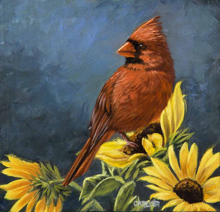 CC – Songbird – Cardinal in Sunflowers CC1919 © Cory Carlson