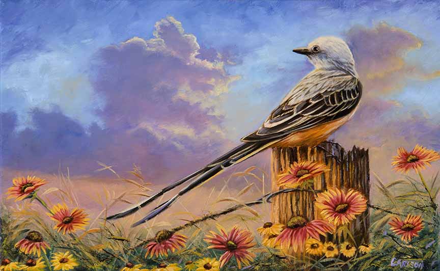 CC – Songbird – Evening Breeze CC1903 © Cory Carlson