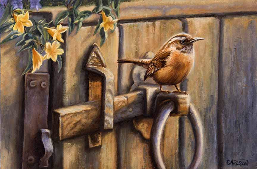 CC – Songbird – Garden Gate Visitor CC1905 © Cory Carlson