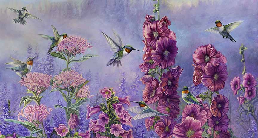 CC – Songbird – Hummingbird Paradise CC2308 © Cory Carlson