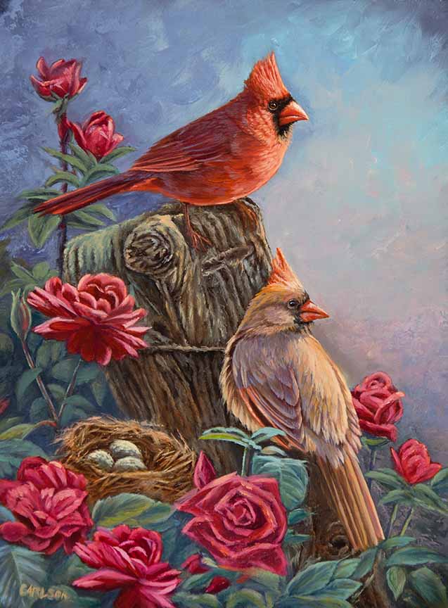 CC – Songbird – Rhapsody in Red CC2413 © Cory Carlson