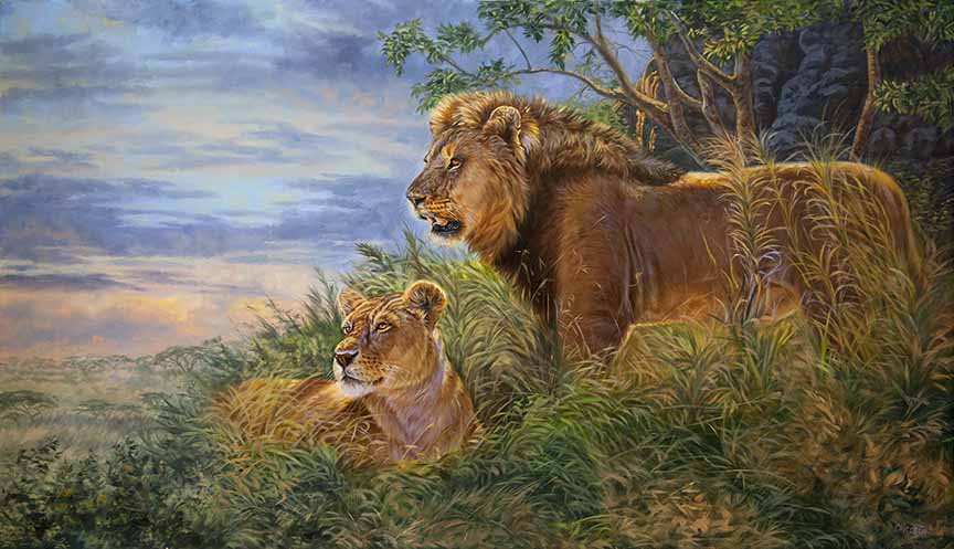 CC – Wildlife – African Splendor CC1110 © Cory Carlson