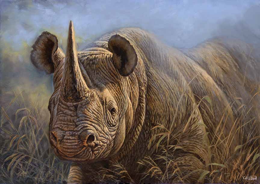 CC – Wildlife – Black Rhino CC1821 © Cory Carlson