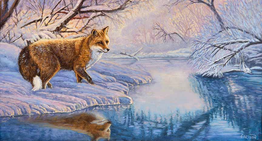 CC – Wildlife – Enchanted Dawn CC2205 © Cory Carlson