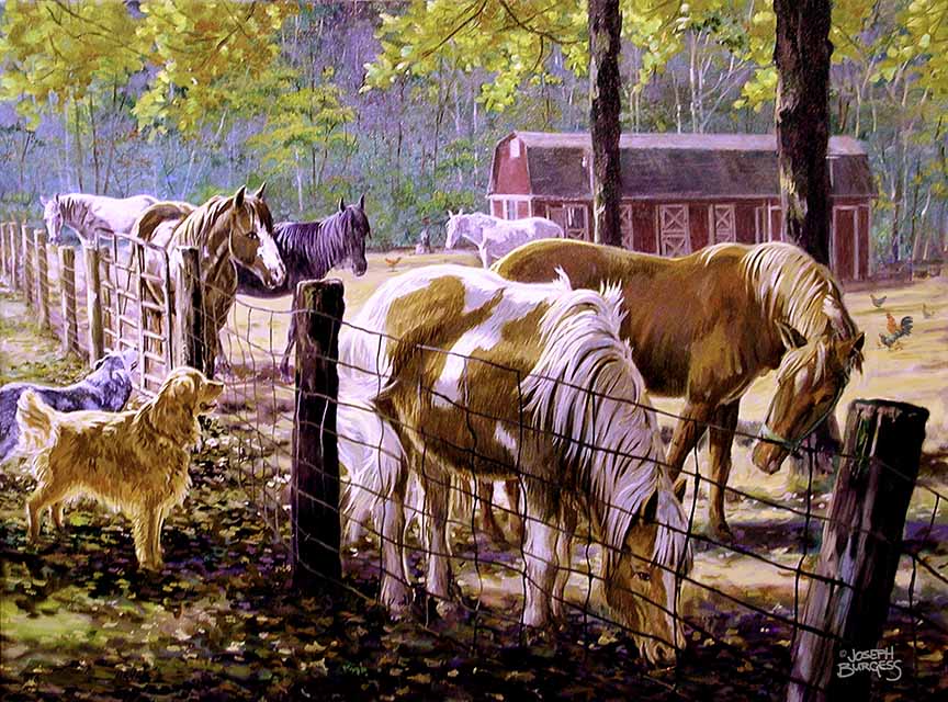 JB2 – McTigues Horses 232 © Joseph Burgess