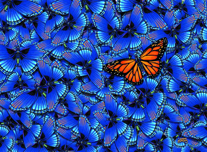 JB2 – Study in Butterfly Blue 530 © Joseph Burgess