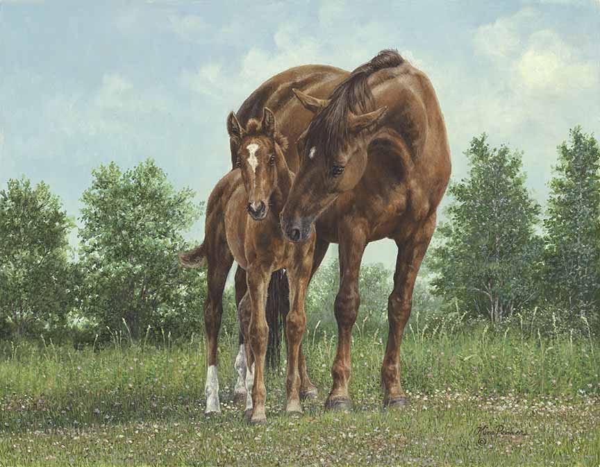 KP – Protection © Kim Penner