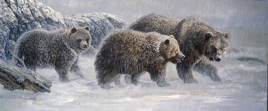 TA – Wildlife – Downpour Grizzlies 146 © Tom Antonishak