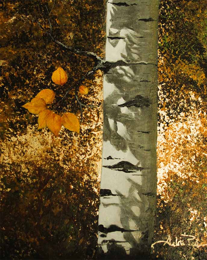 AP – Aspen Shadows © Arleta Pech