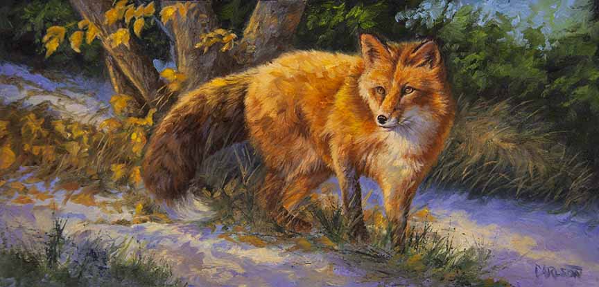 CC – Wildlife – Early Snow II CC1503 © Cory Carlson