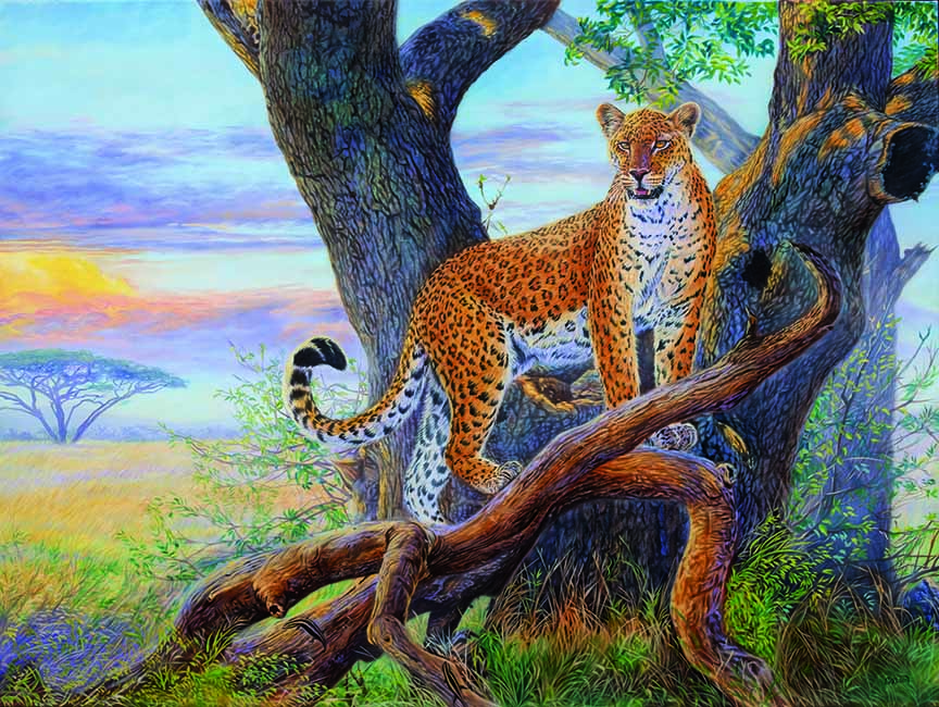 CC – Wildlife – Evening Watch CC0811 © Cory Carlson