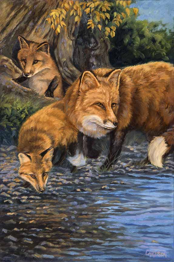 CC – Wildlife – Fox Den CC1306 © Cory Carlson