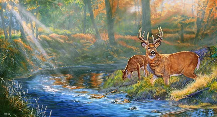 CC – Wildlife – Mists of Autumn CC0402 © Cory Carlson