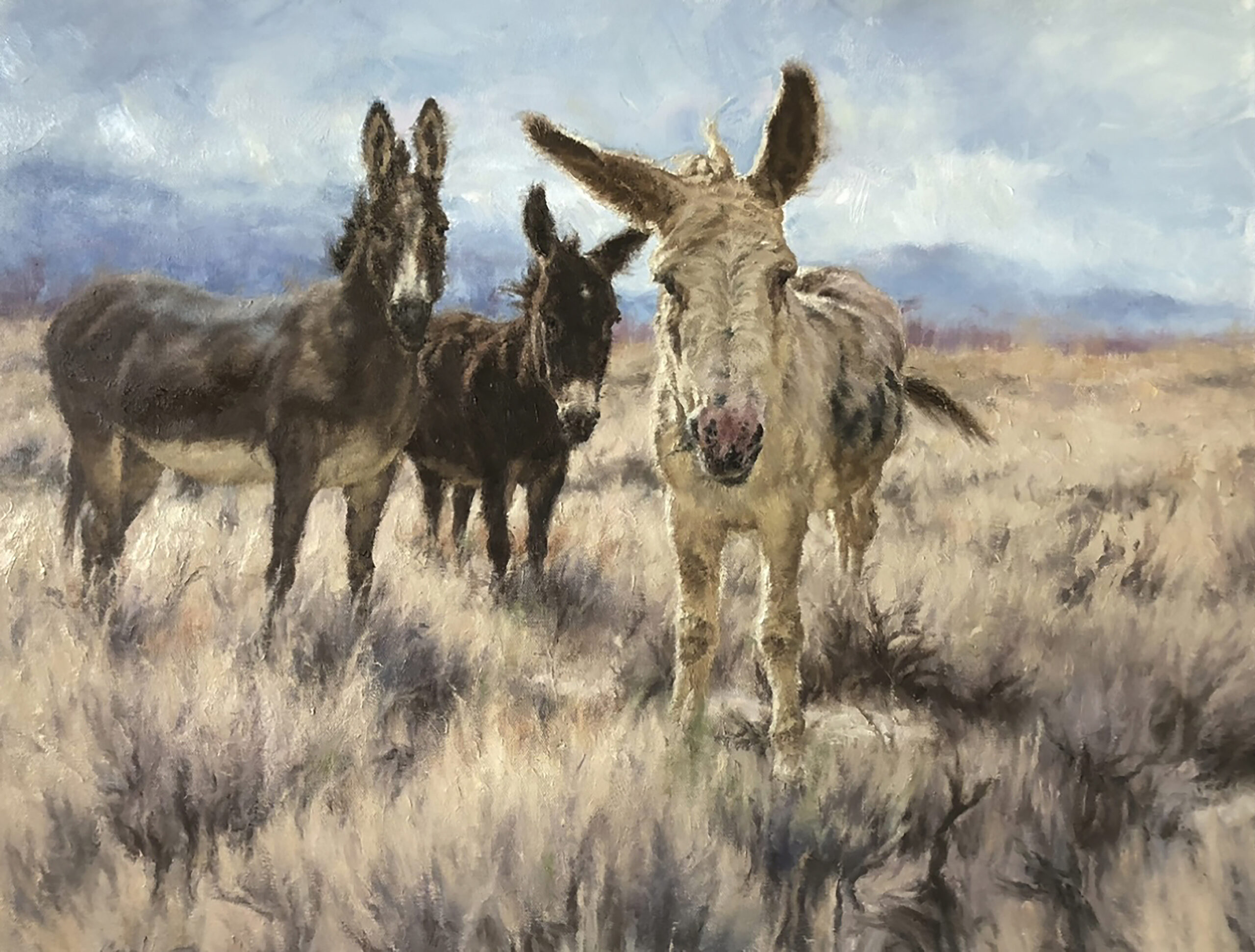 CD – The Ears Have It © Carla D’aguanno