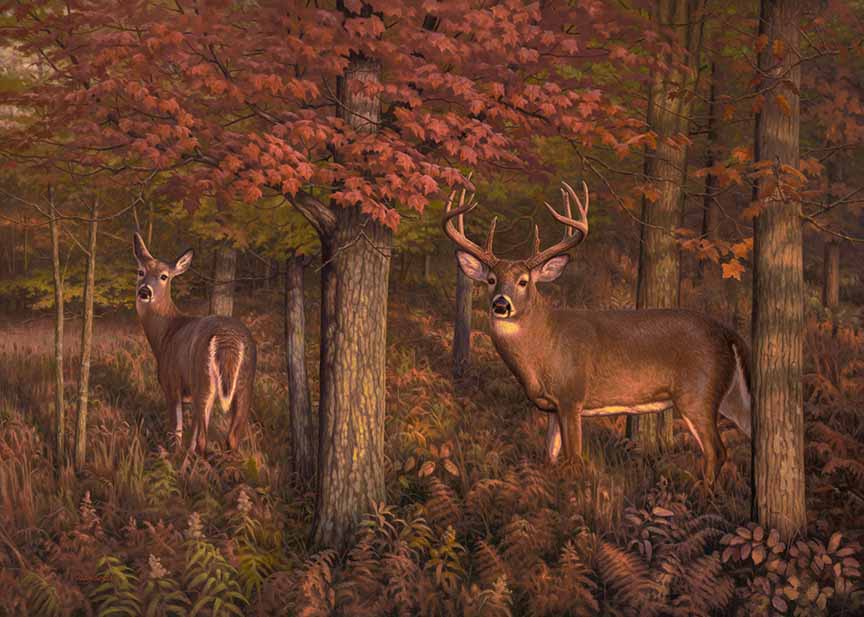 GA – Autumn’s Time © Greg Alexander