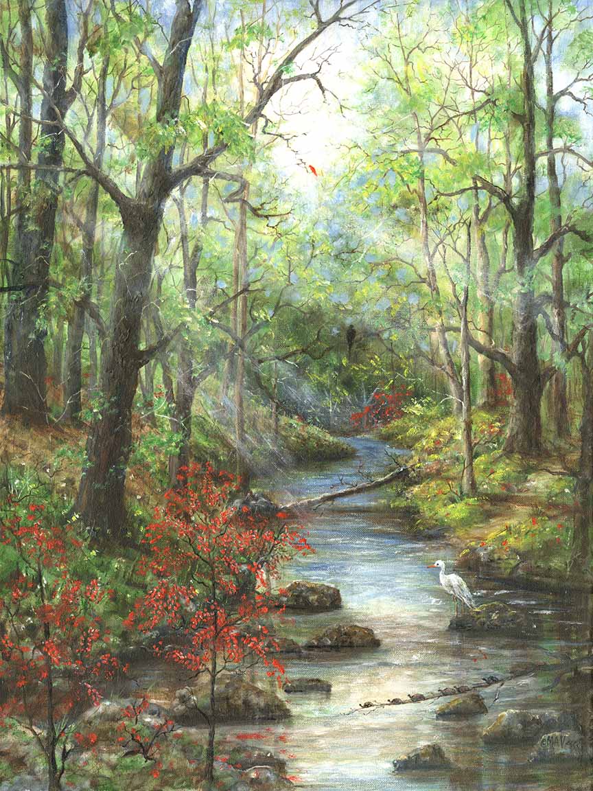 MAV – Landscape – Turtle Crossing © Mary Ann Vessey