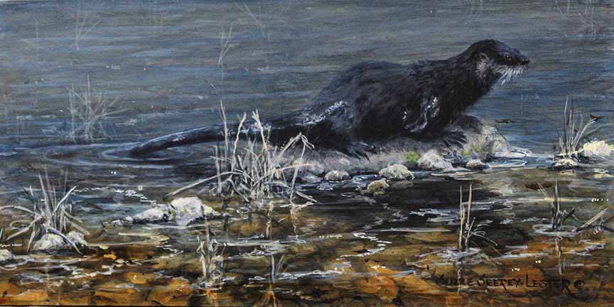 SSL – On the rocks II © Suzie Seerey-Lester