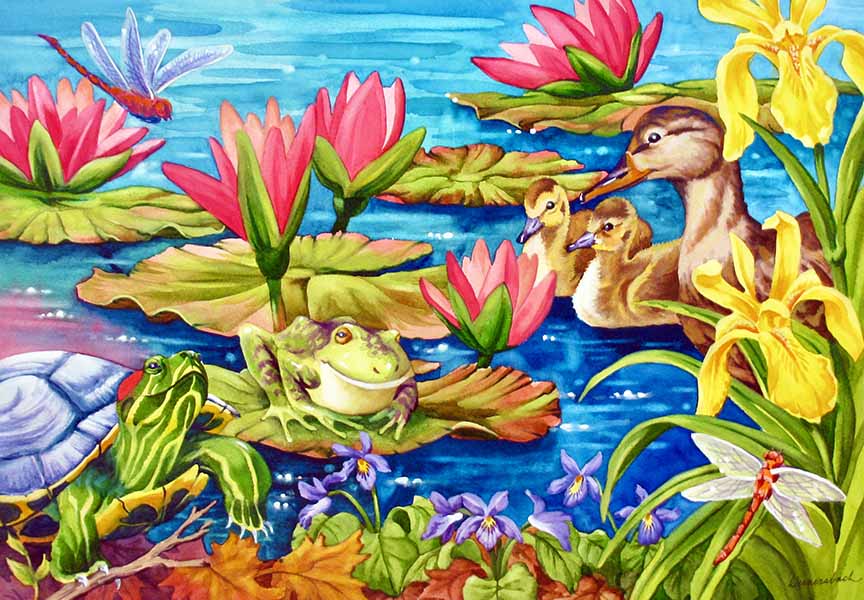 NW1207_ADayAtThePond