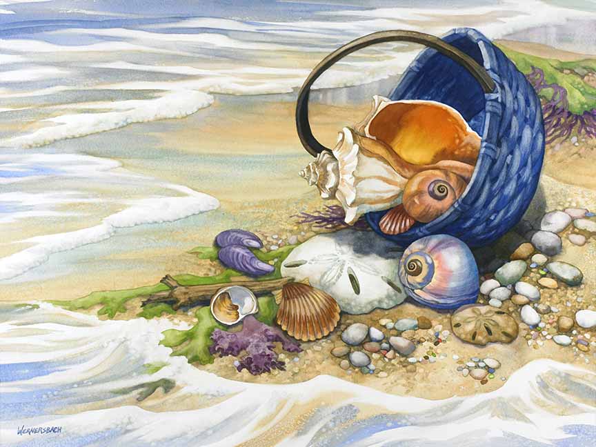 NW – Beachcombers Basket 0302 © Nancy Wernersbach