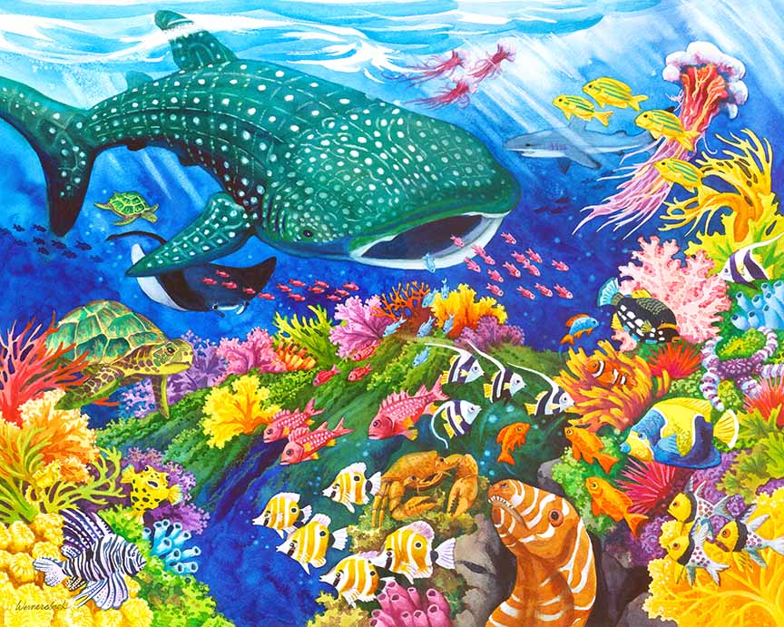 NW – Whale Shark At Reef’s Edge 1409 © Nancy Wernersbach
