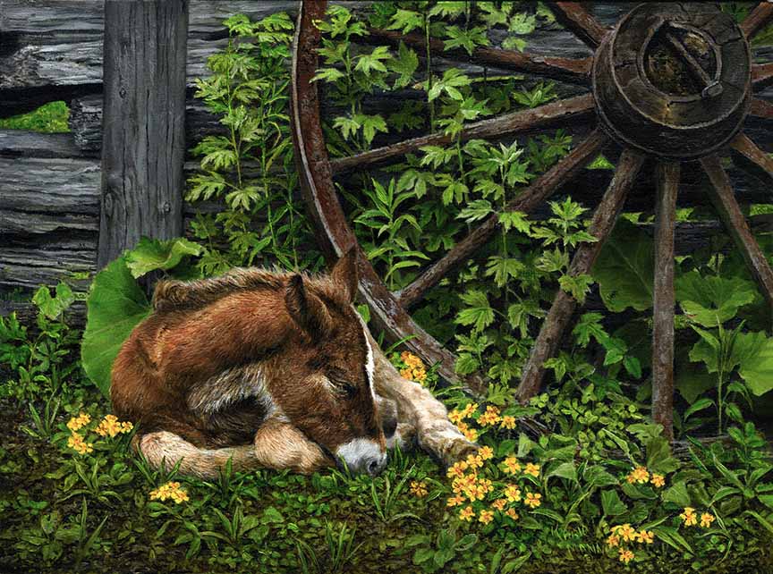 KM – Nap Time © Karla Mann