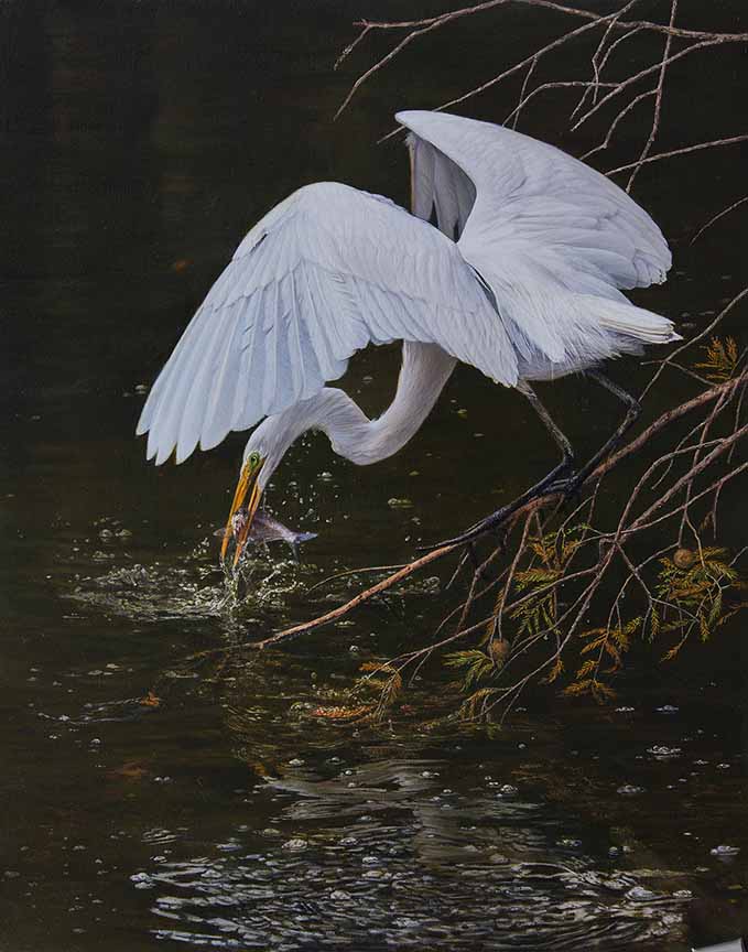 KM – Successful Catch © Karla Mann