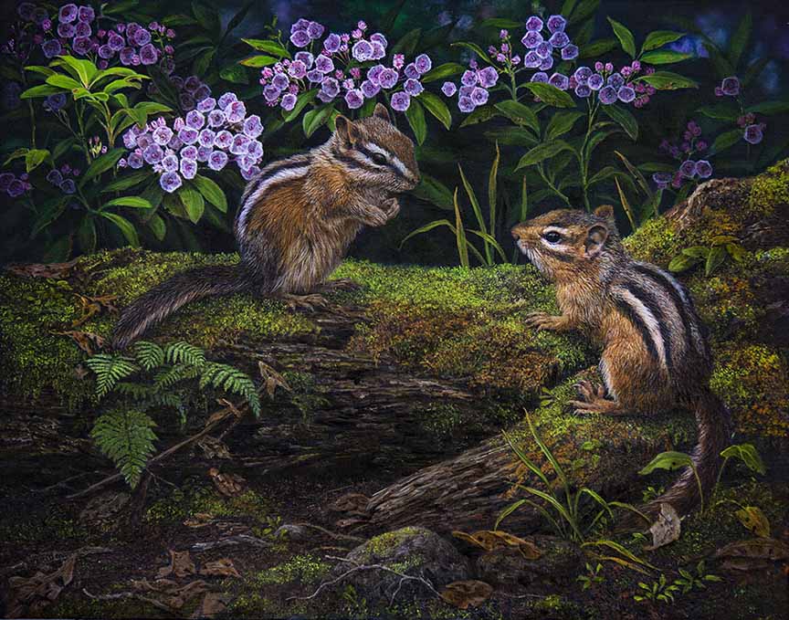 KM – Visiting Chipmunks 2 © Karla Mann