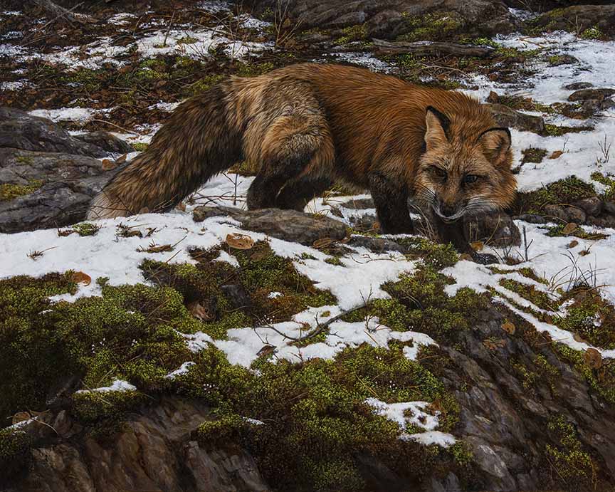 KM – Where is Waldo © Karla Mann