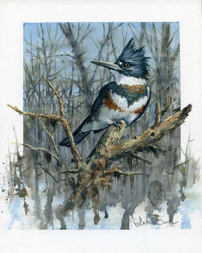 LB – The She King Fisher 2512 © Luke Buck