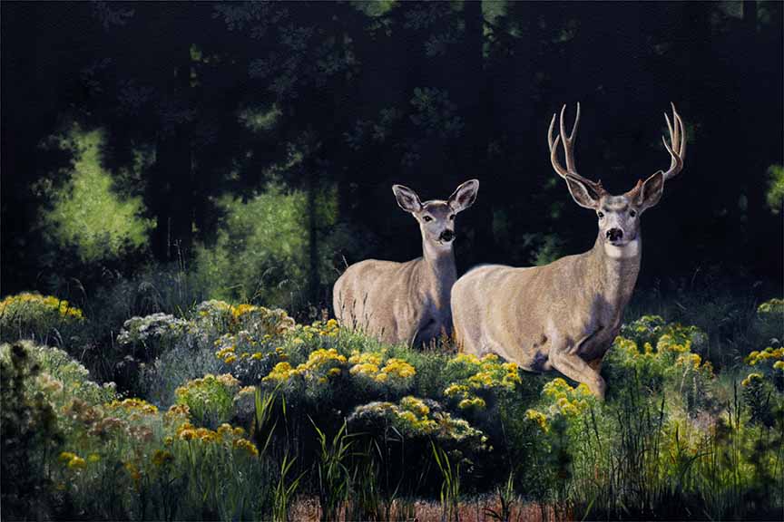 MK – Courtship In the Garden © Mark Kelso