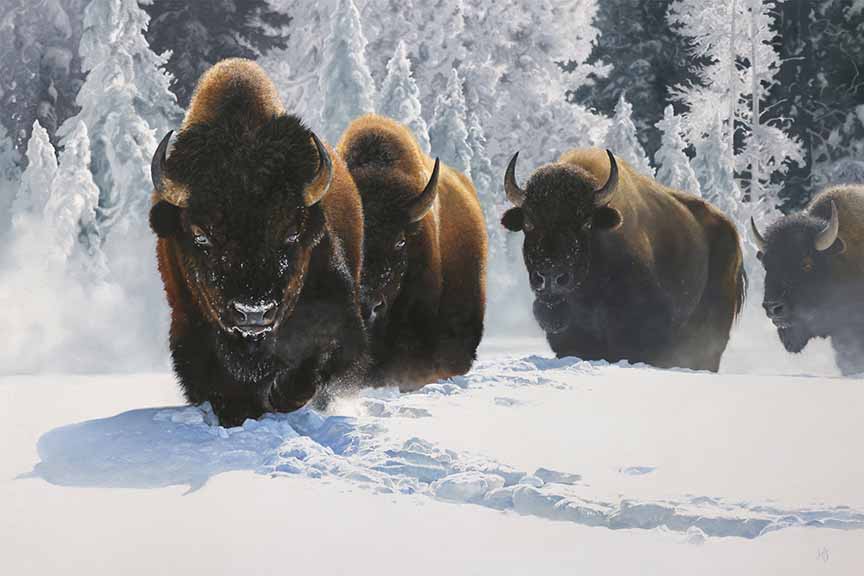 MK – Drive Train © Mark Kelso