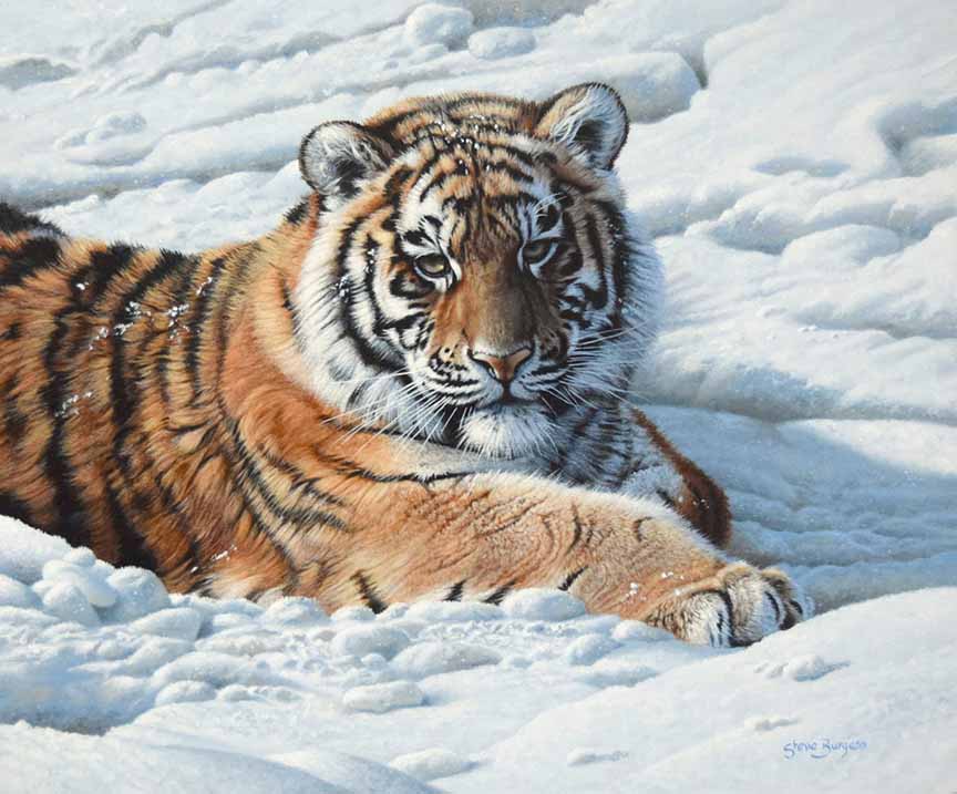 SB – A Real Cool Cat © Steve Burgess