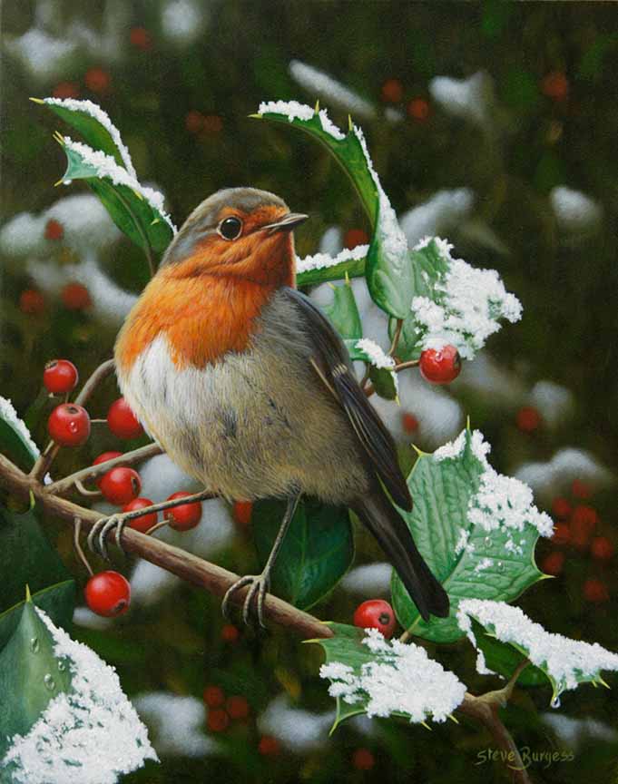 SB – In the Bleak Midwinter © Steve Burgess