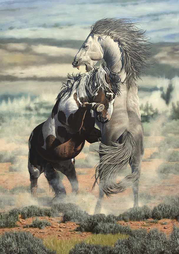 SB – Sandwash Showdown © Steve Burgess