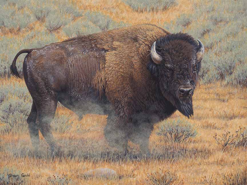 Original Artwork Photographed at Uncoded Studio, Eureka, CA